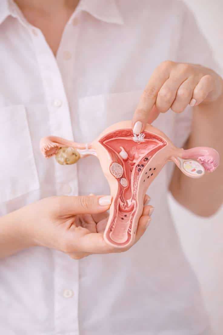การฉีดน้ำเชื้อเข้าโพรงมดลูก (IUI)